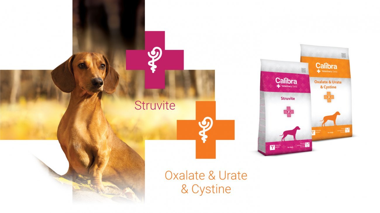 1482-calibra-vd-podklady-pro-sk-uvodni-foto-7-21-struvite-oxalate